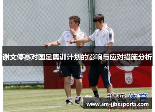 谢文停赛对国足集训计划的影响与应对措施分析 谢文停赛对国足集训计划的影响与应对措施分析
