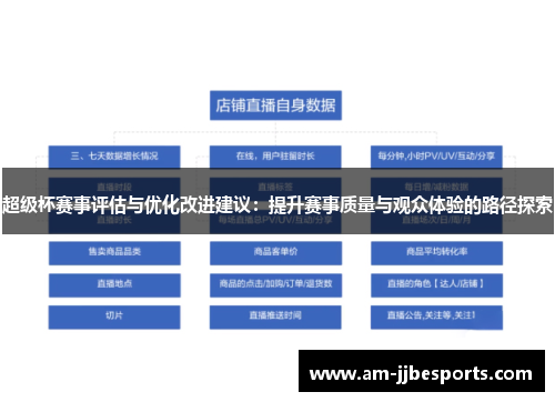 超级杯赛事评估与优化改进建议：提升赛事质量与观众体验的路径探索