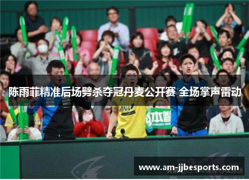 陈雨菲精准后场劈杀夺冠丹麦公开赛 全场掌声雷动