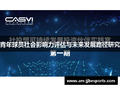 青年球员社会影响力评估与未来发展路径研究