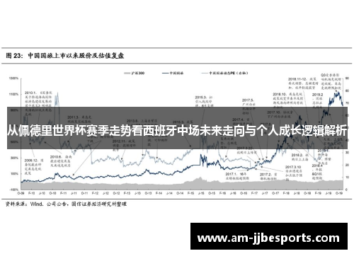 从佩德里世界杯赛季走势看西班牙中场未来走向与个人成长逻辑解析