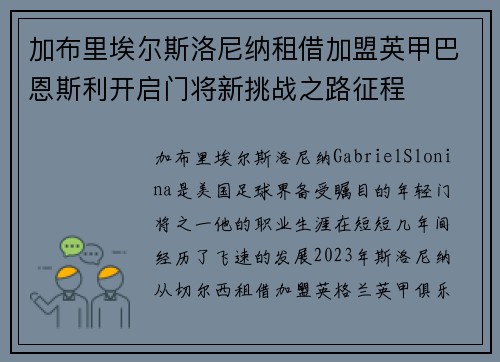 加布里埃尔斯洛尼纳租借加盟英甲巴恩斯利开启门将新挑战之路征程